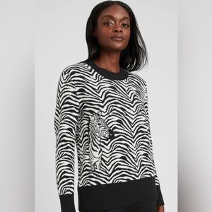 Banana Republic Zebra Striped Sweater